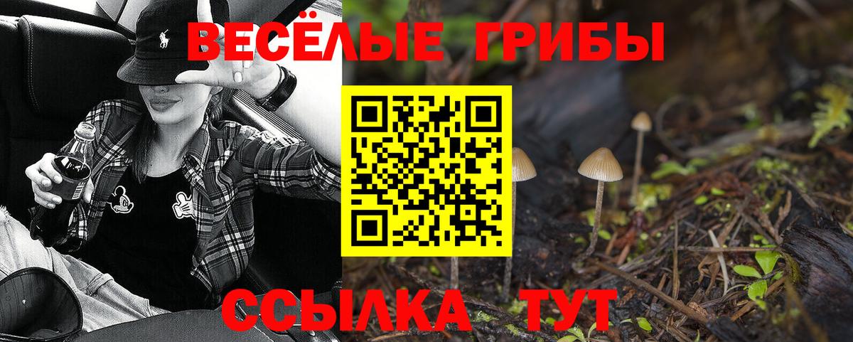 Псилоцибиновые грибы GOLDEN TEACHER Сальск